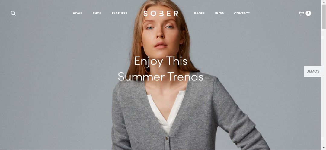 Luxury Fashion eCommerce Hero 1_Sober